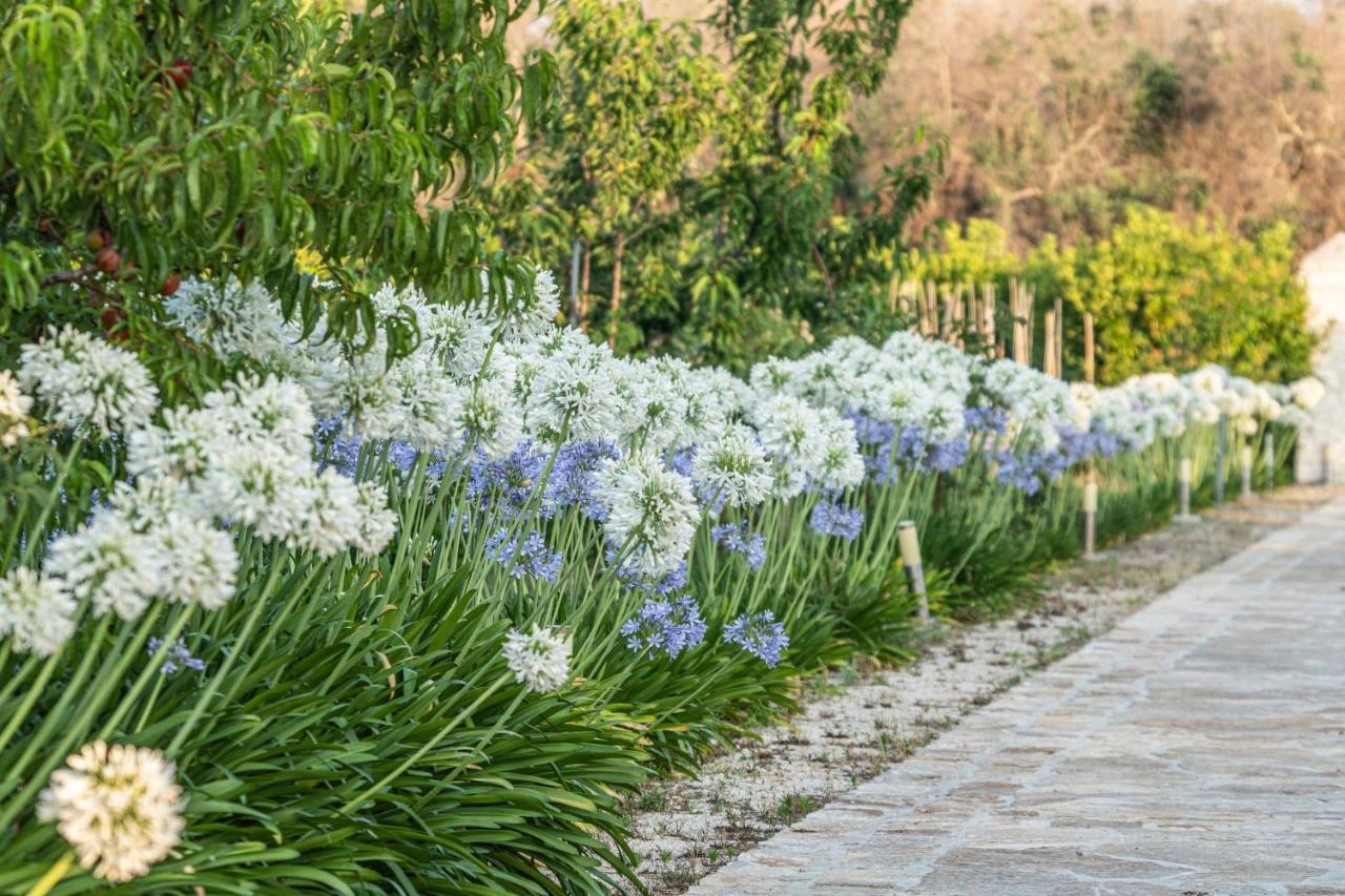 Agriturismo Panacea Santa Cesarea Terme Luaran gambar