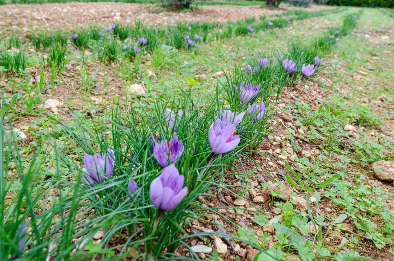 Agriturismo Panacea Santa Cesarea Terme Luaran gambar